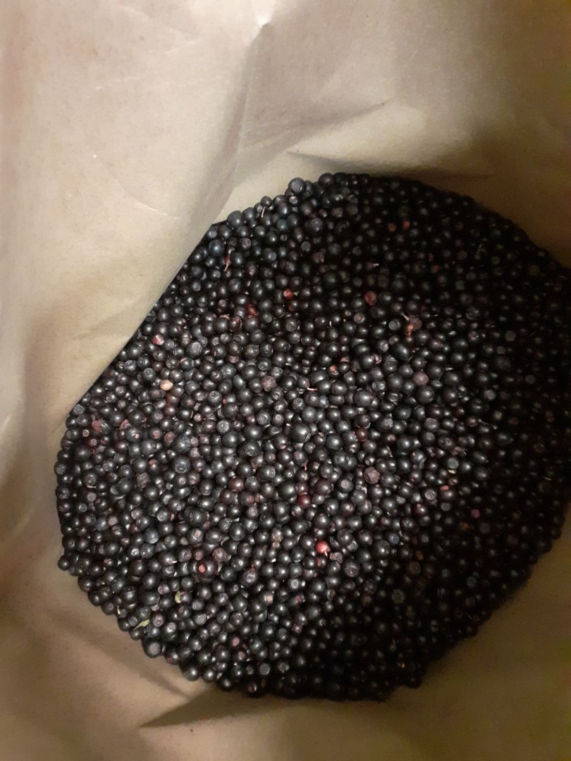 I will sell frozen, cleaned - blue forest blueberry from Belarus in paper packages of 25 kg