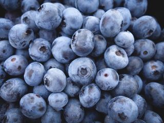 Hello, I will buy blueberry, permanent pickup after 500-700