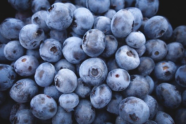 Hello, I will buy blueberry, permanent pickup after 500-700 kg by the end of the season, please send an e-mail or phone info