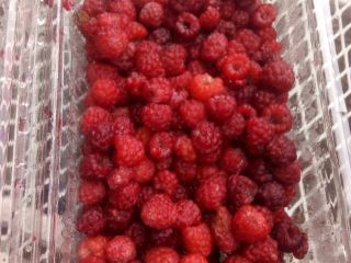 I'm selling fresh wild raspberries