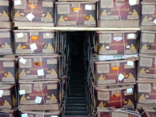Sort “Airport” super express delivery in 5 days !!!