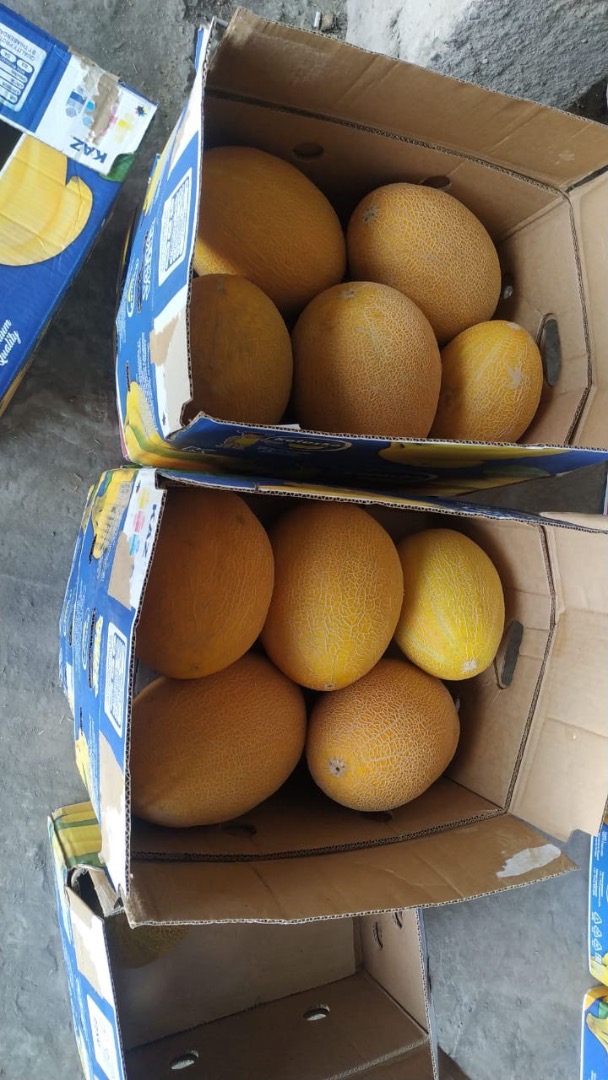 Sort "żuldyż" express delivery in 5 days !!!