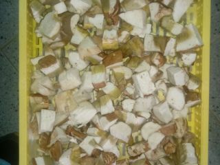 Offer of frozen porcini mushrooms - whole, first class,
