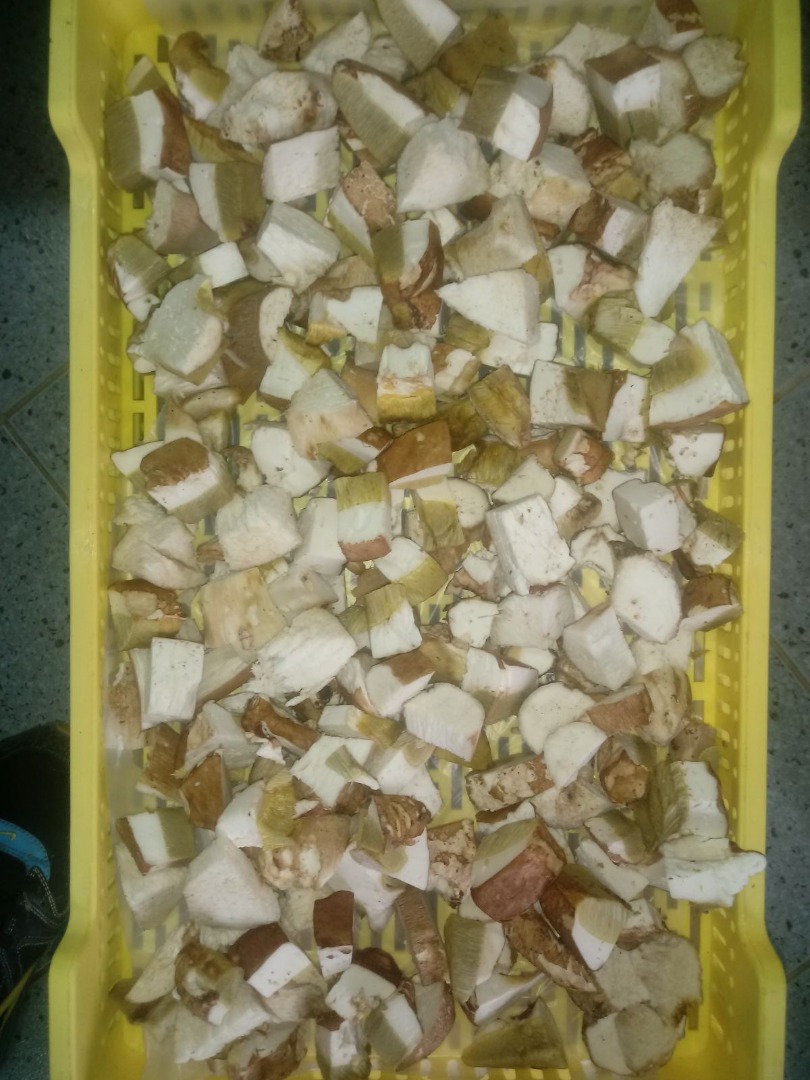 Offer of frozen porcini mushrooms - whole, first class, cube (first, second and third class)