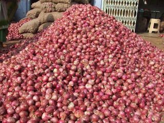 we offer onions Origin: Denmark please contact directly, ,call: