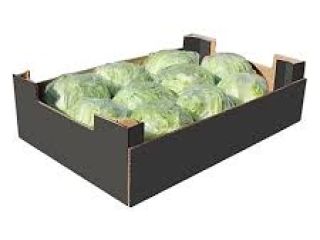 we are a company that distributes fruits and vegetables