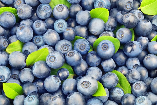 I will sell fresh blueberries