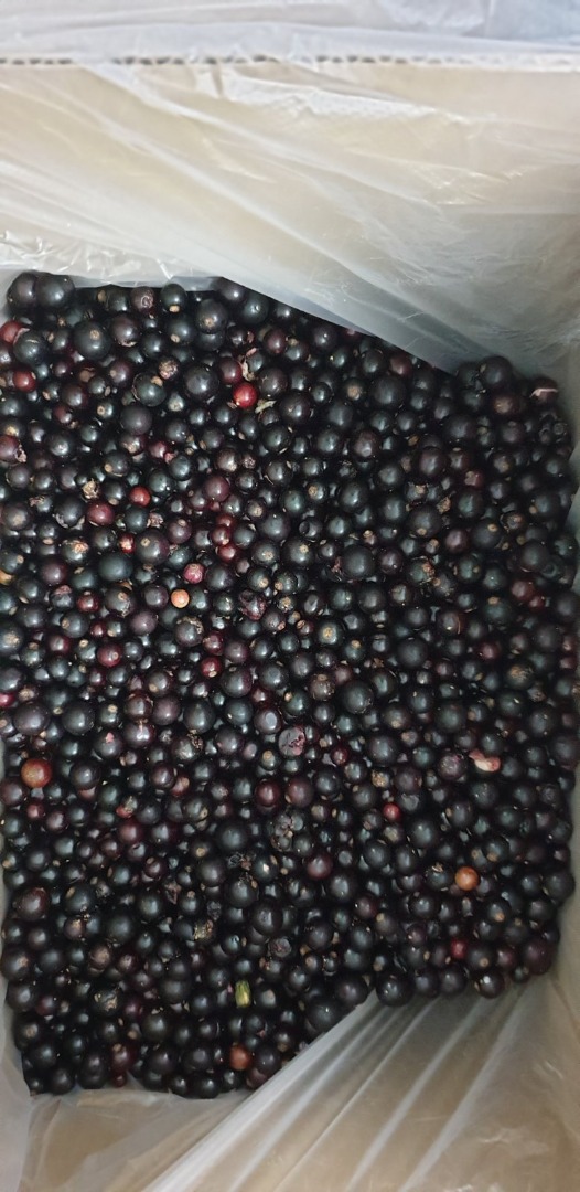 I will sell black currants, frozen, mechanically cleaned