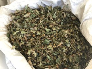 I will sell dried strawberry leaves from my own