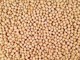 we are engaged in the business of export of high grade soya bean meal that is extensively demanded in the international market for its excellent taste