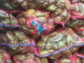 Fresh green pepper, industrial. Original photo attached. We have