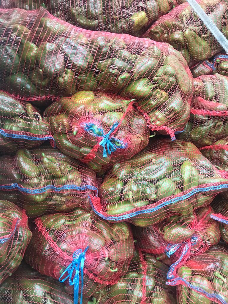 Fresh green pepper, industrial