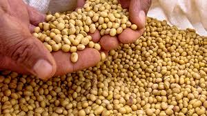 We are exporters of soybeans , food and beverages products