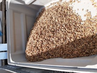 Hello, I am selling a freshly shelled walnut, 100%