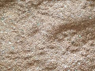 I am selling 4 AVAS and 2 tons of
