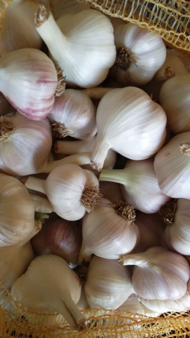 I have 2 size garlics: dia >4,5cm dia