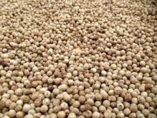 White pepper from Penja, Cameroon