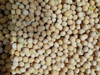 Patronage peas for sale, general use. The first collection
