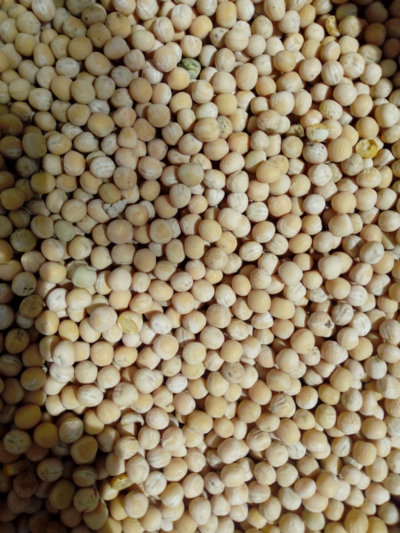 Patronage peas for sale, general use