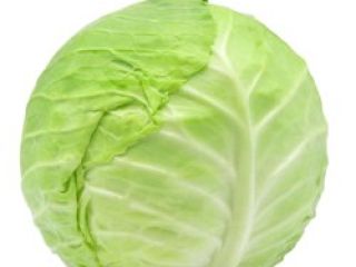 im from kosova I am a planter and trader