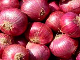 we have fresh harvest of red and yellow onion,