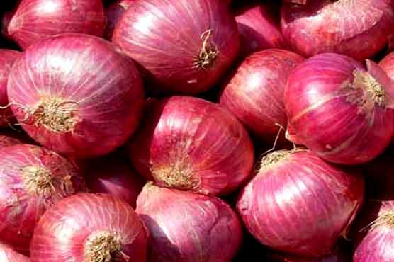 we have fresh harvest of red and yellow onion, Caliber: 55+ please contact directly, email