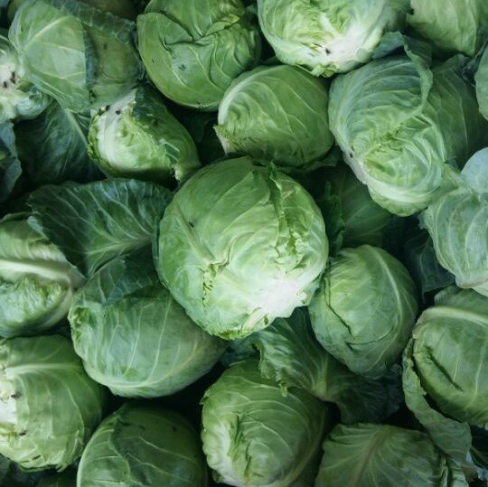 We have fresh harvest of red ,white,italian,brussel sprouts,pickled cabbage vegetable Caliber: 55+ please contact directly, email