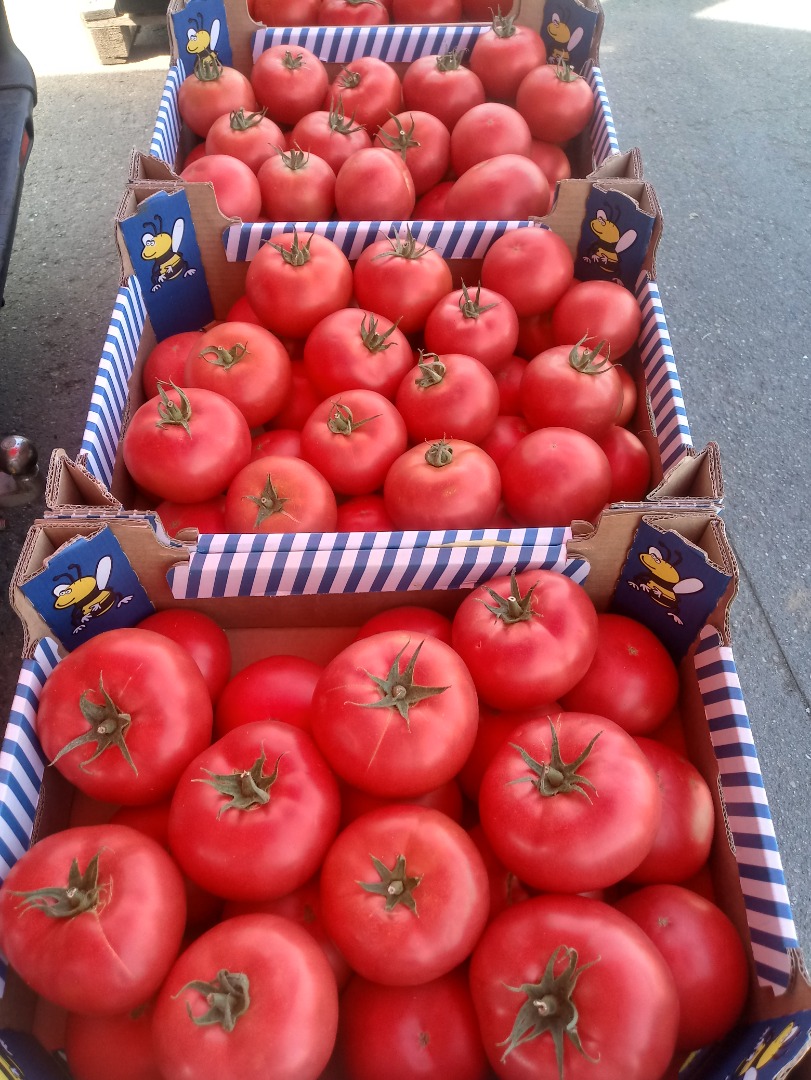 Hello, I am selling a raspberry tomato 1 category BBB