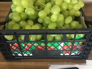 A UNIQUE OPPORTUNITY !!! Bright grapes, caliber 20-25, quantity