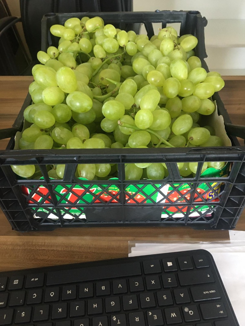 A UNIQUE OPPORTUNITY !!! Bright grapes, caliber 20-25, quantity 75 tons