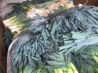 Leek for sale