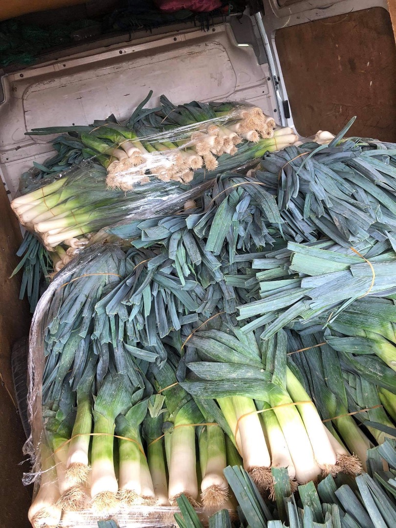 Leek for sale