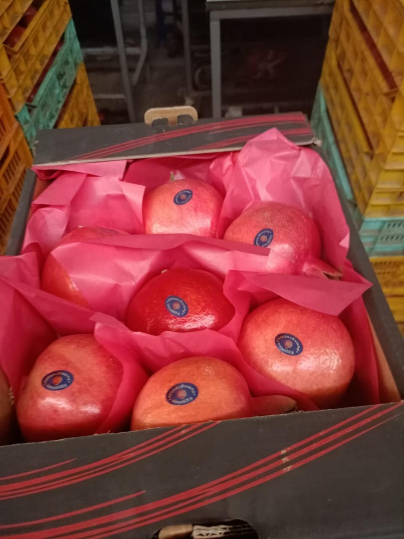 I will sell a pomegranate from Egypt, a cardboard box of 5 kg, about 20 tons, very sweet, premium, hand-picked, pick up in Gdańsk or Gdynia, price $ 1 per 1 kg