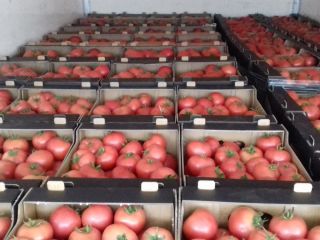 Hello. I offer raspberry tomatoes grown in tunnels using