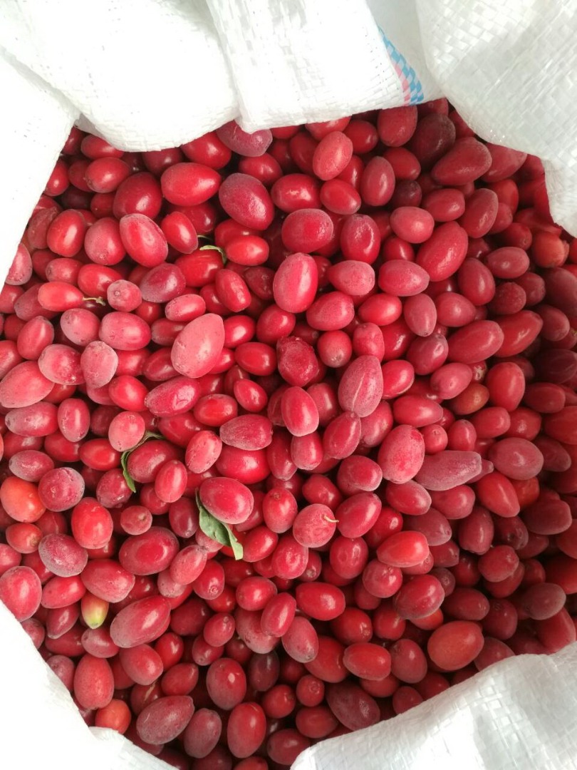 Dogwood, edible frozen
