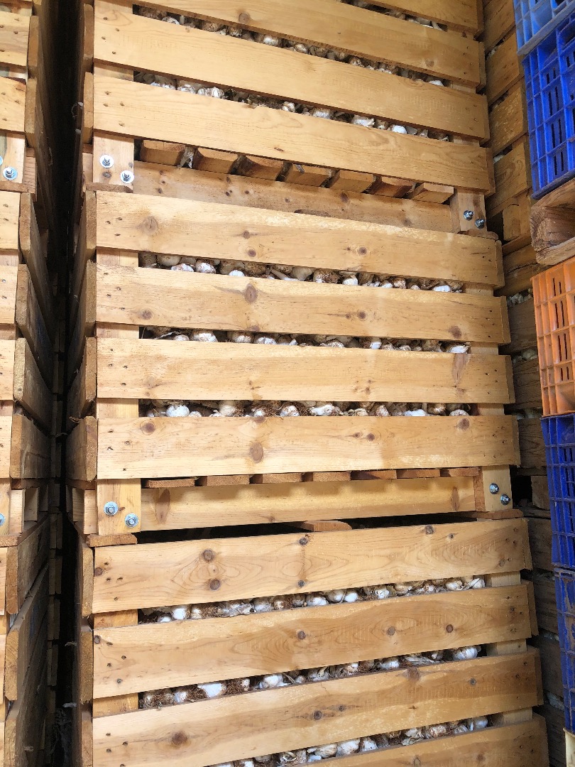 I sell garlic in large quantities and I offer the invoice