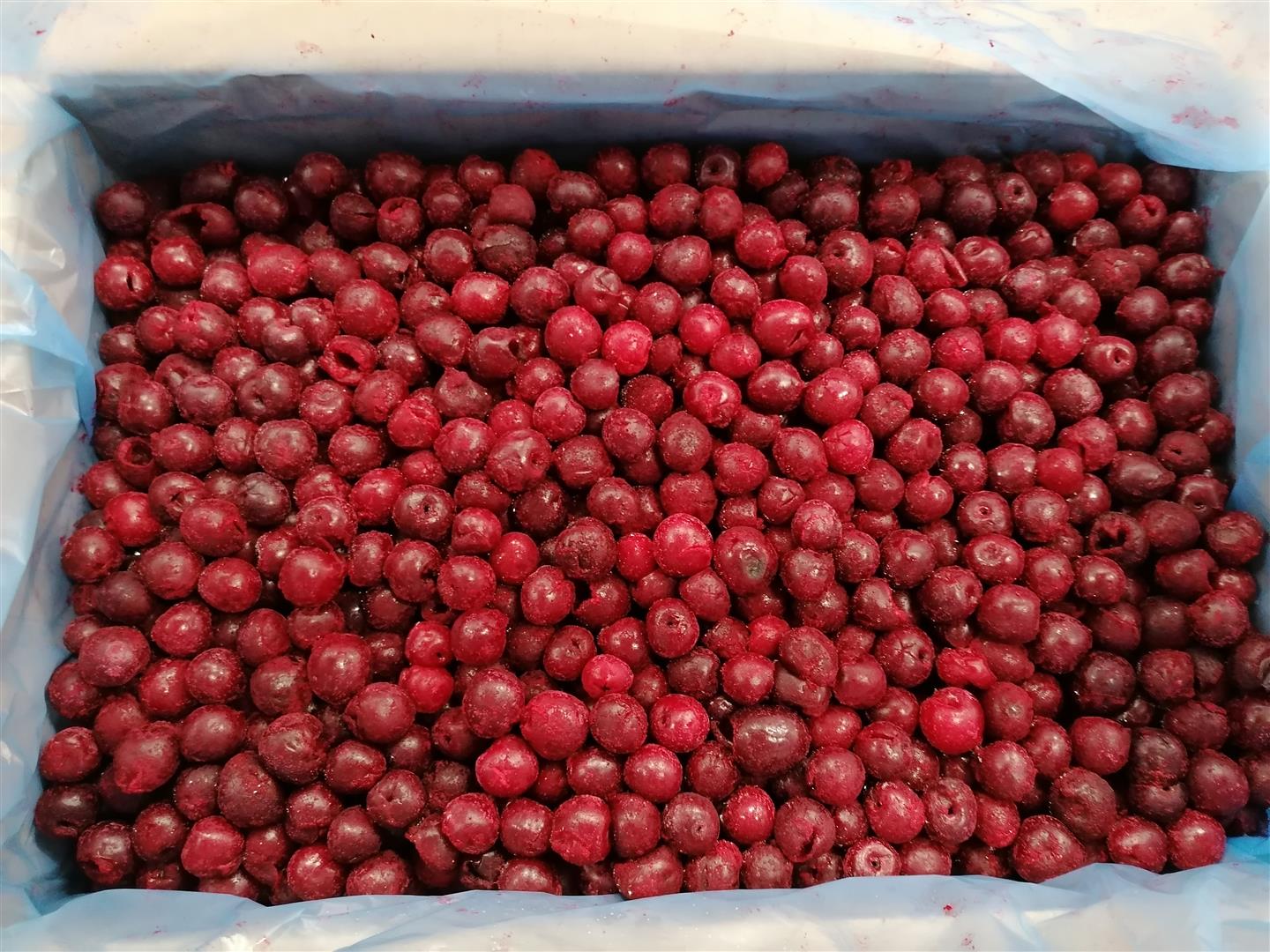 Frozen cherry without pits Pickup from Bolimów (Łódź Voivodeship) or delivery for a fee Cherry pitted, frozen Pickup in Bolimów (Poland) or delivery for a fee