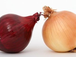 Red and white onions from Greece Thessalia produce by