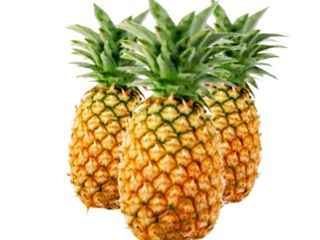 Fresh Fruits: Orange , Lemon , Limes , Grapefruits