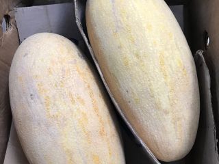 Hello, I have for sale Melon Tarpeda country of
