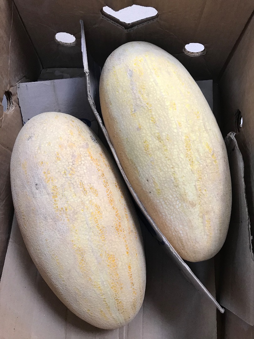 Hello, I have for sale Melon Tarpeda country of origin Uzbekistan good price somehow super very sweet