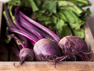 I will sell fresh beet roots .