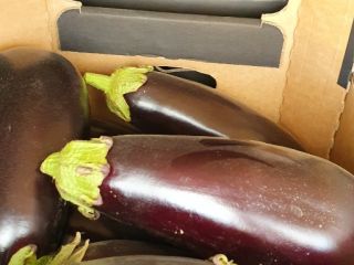 I WILL SELL BAKLAZANA. PLEASE CONTACT US