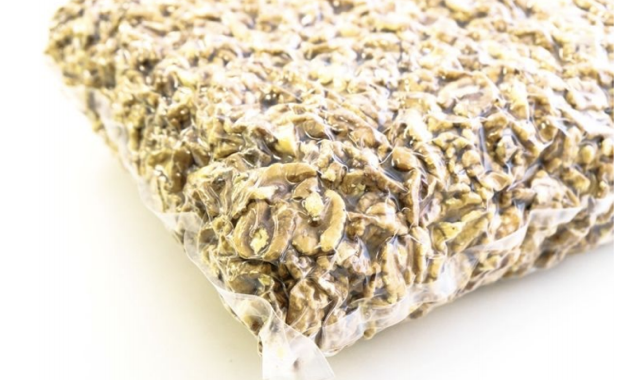 2020 walnuts for sale
