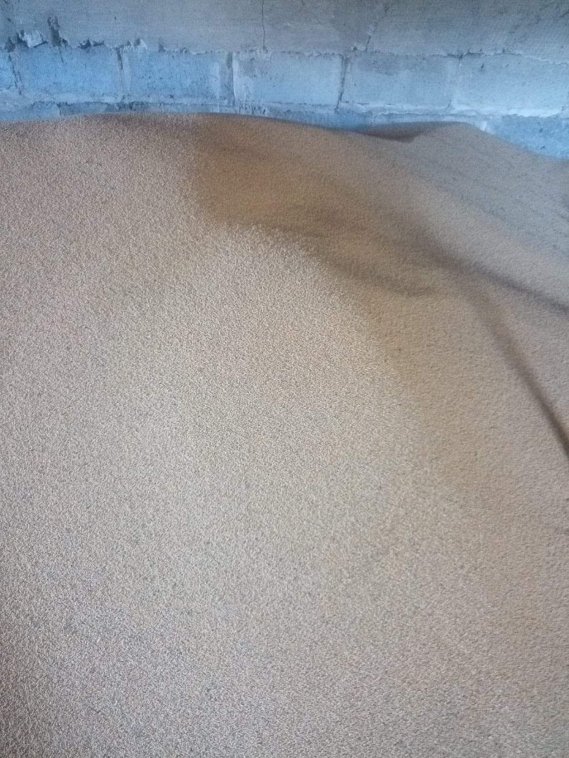 I will sell about 6 tons of mustard