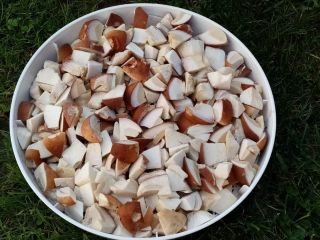 Hello. I will sell dried porcini mushrooms. Price for
