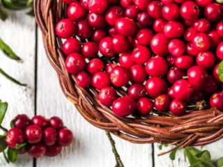Swamp cranberry