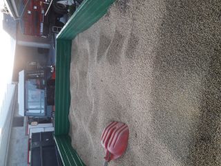 I will sell about 2 tons of Soybeans