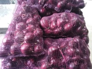 Boro red beetroot, caliber according to customer needs