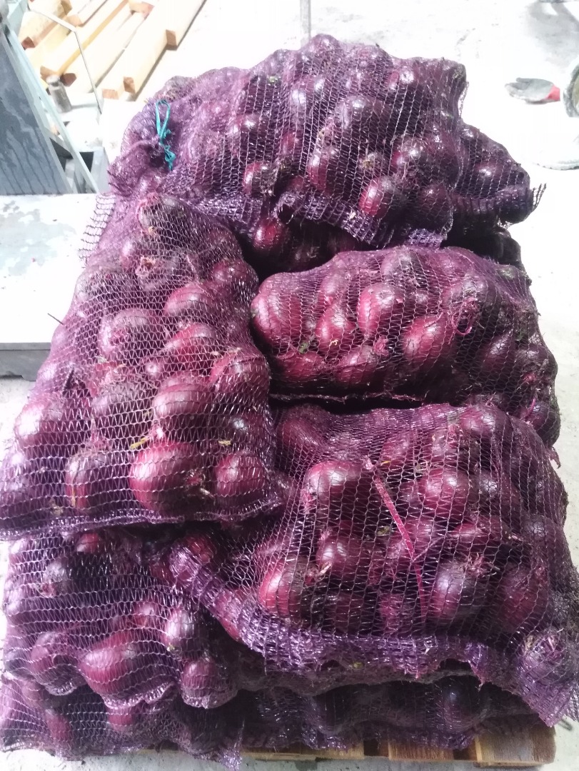 Boro red beetroot, caliber according to customer needs